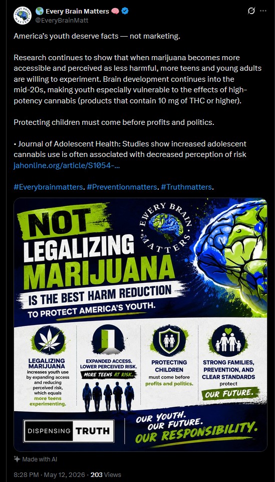 Every Brain Matters: 'Not legalizing marijuana is the best harm reduction'